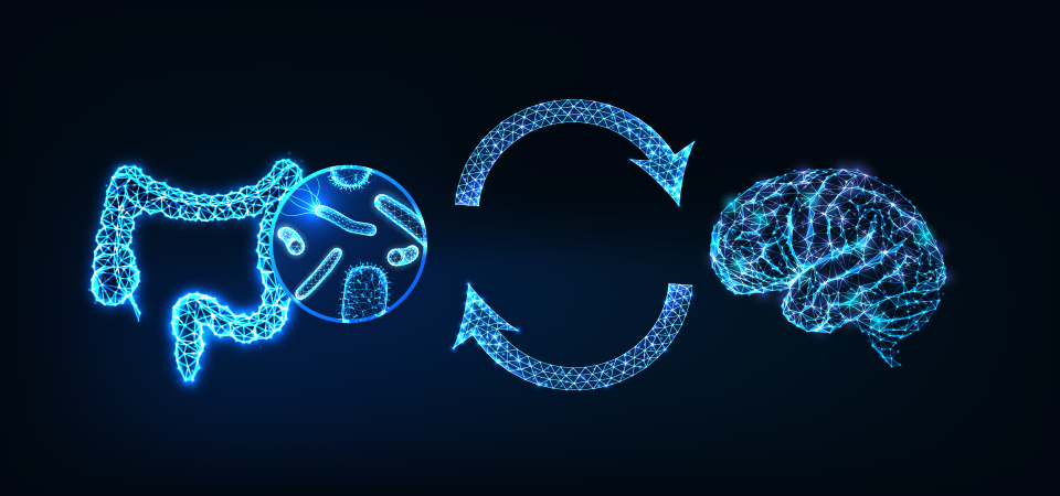 Los Probióticos y su Impacto en la Salud Mental