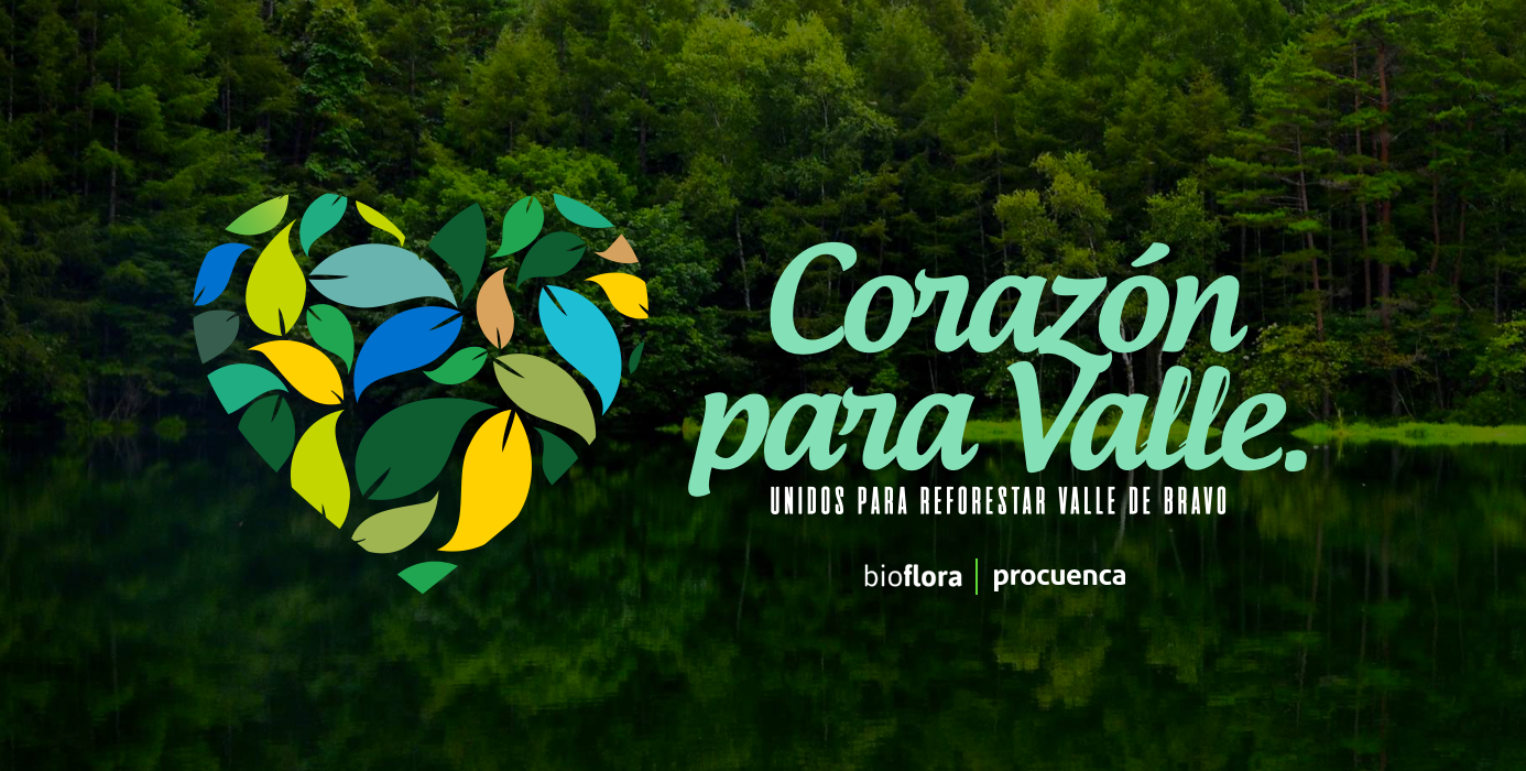 Bosques; fábricas de agua.