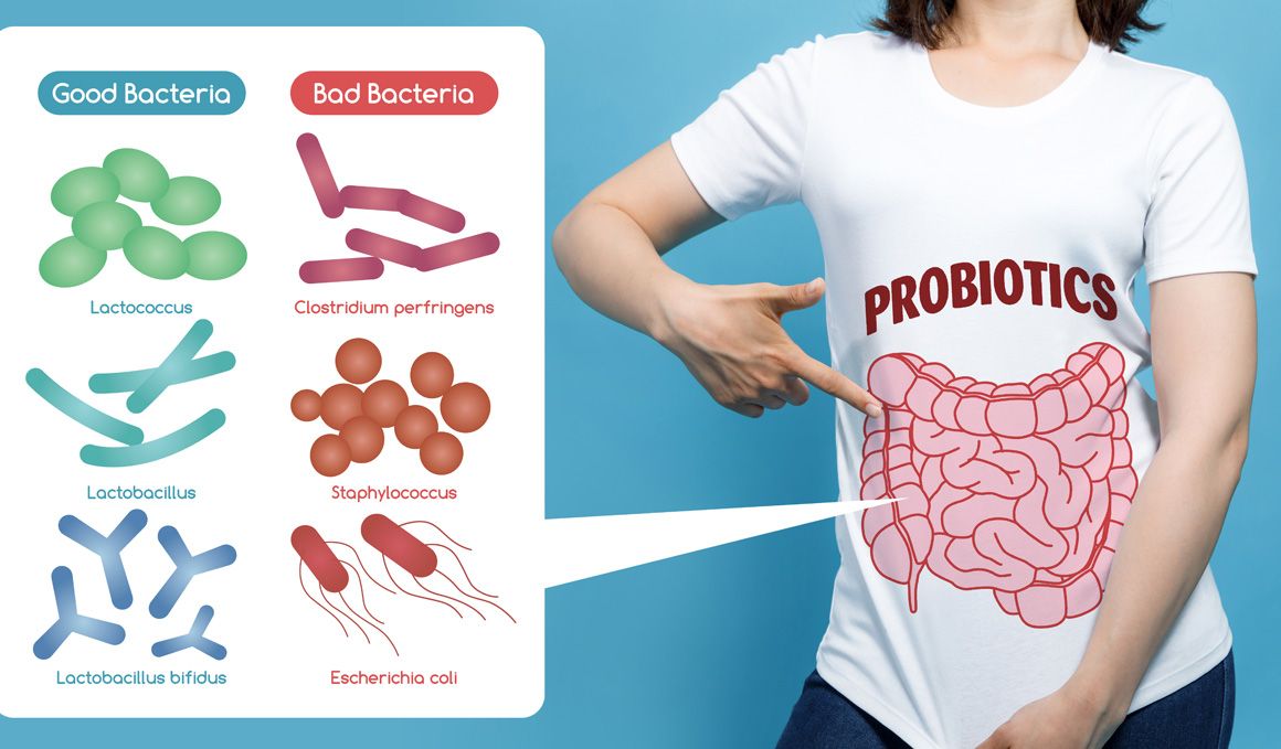 La flora intestinal, la obesidad y cómo arreglarlo con la dieta. Por Darío Pescador (Divulgador científico)