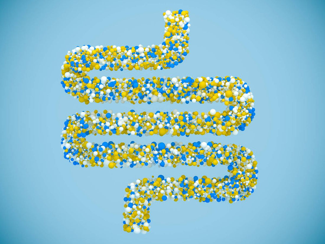 Permeabilidad intestinal, histamina y marcadores funcionales de laboratorio por Dr. Alberto Méndez Campos (Clínica Spotheal mx)